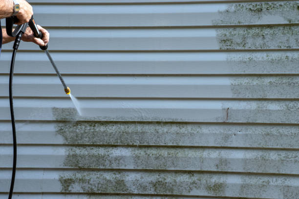 Best Demolition Debris Removal  in Plymouth, IN